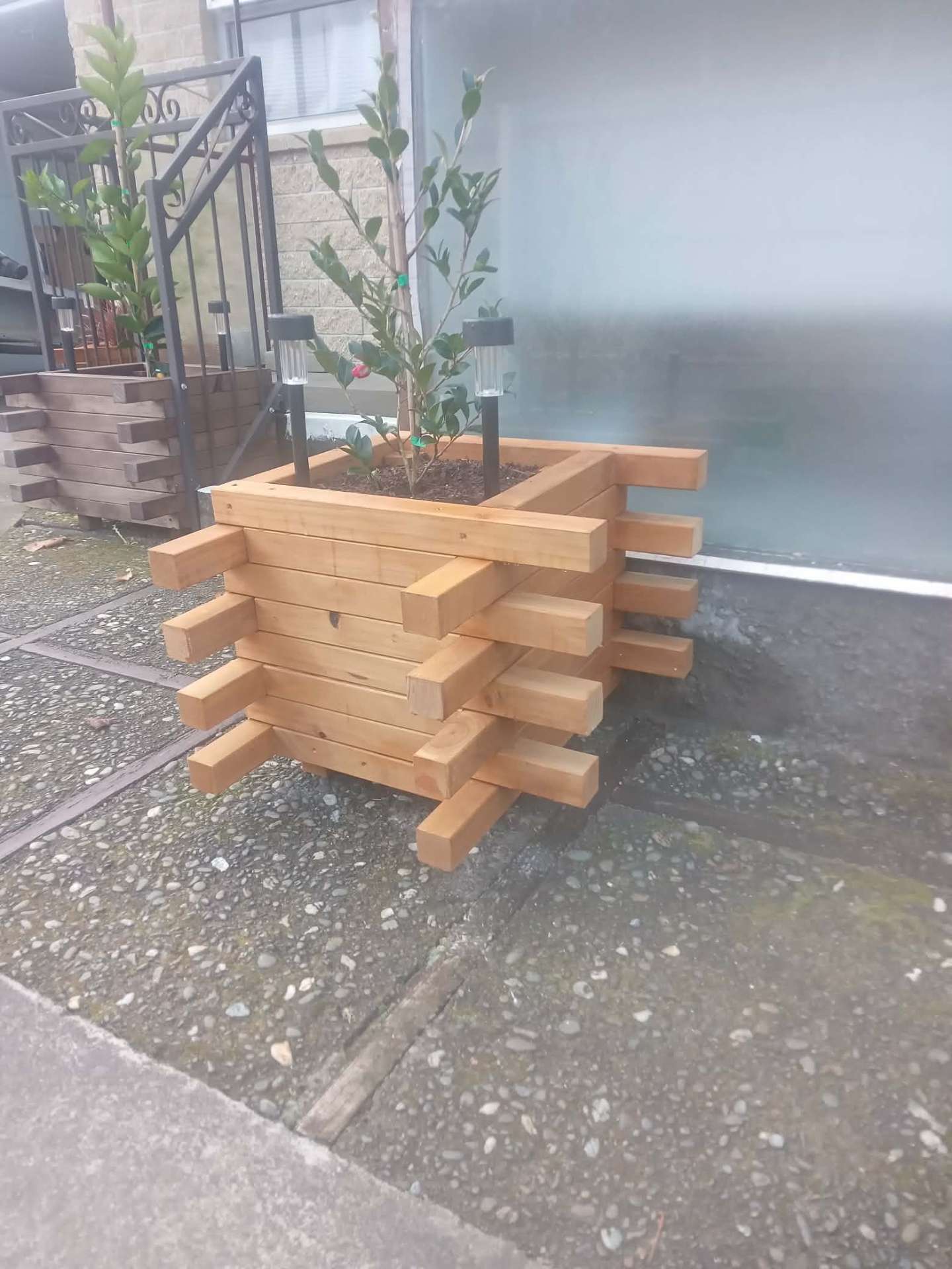 Square timber planter box