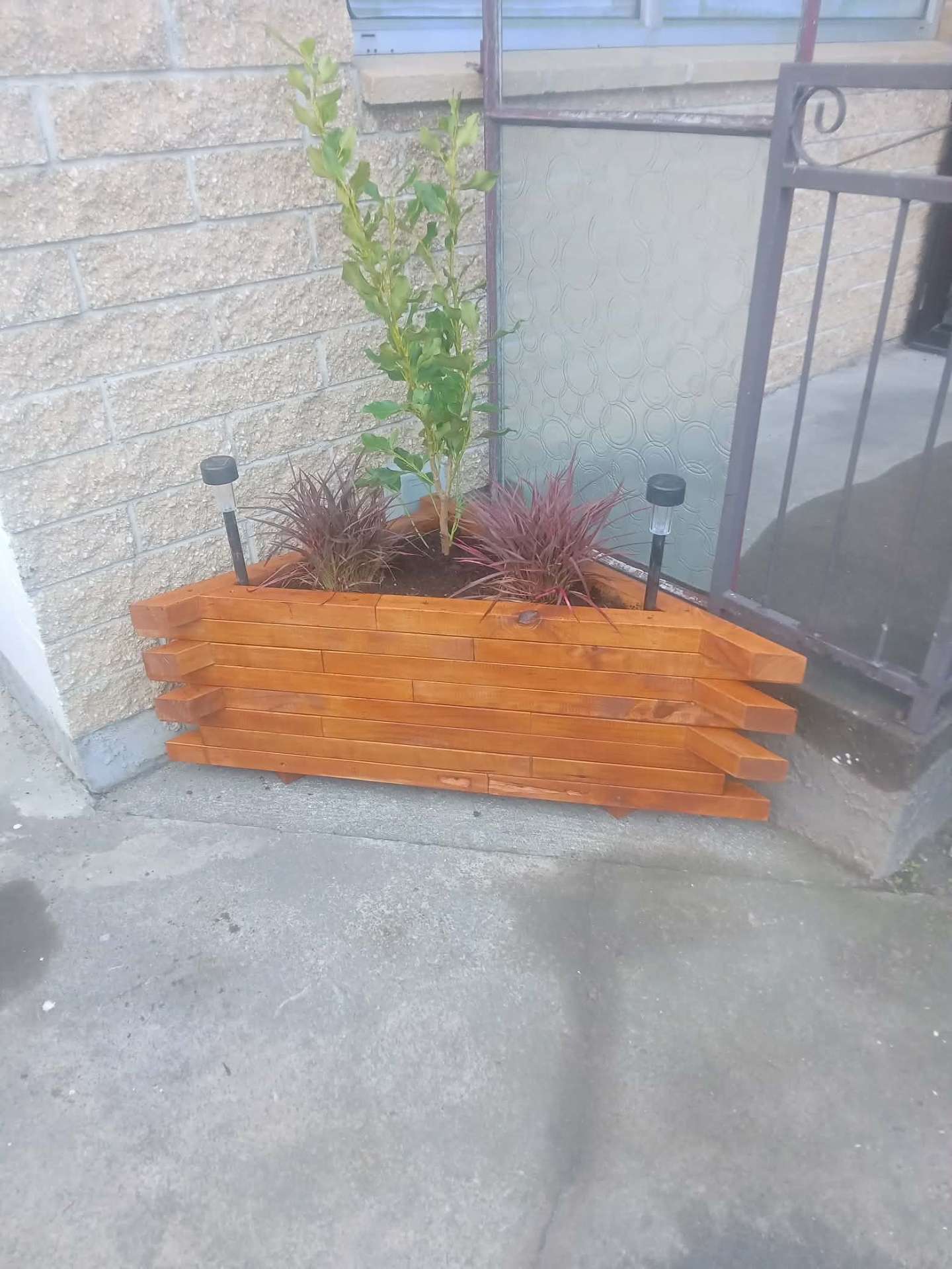 Long timber planter box
